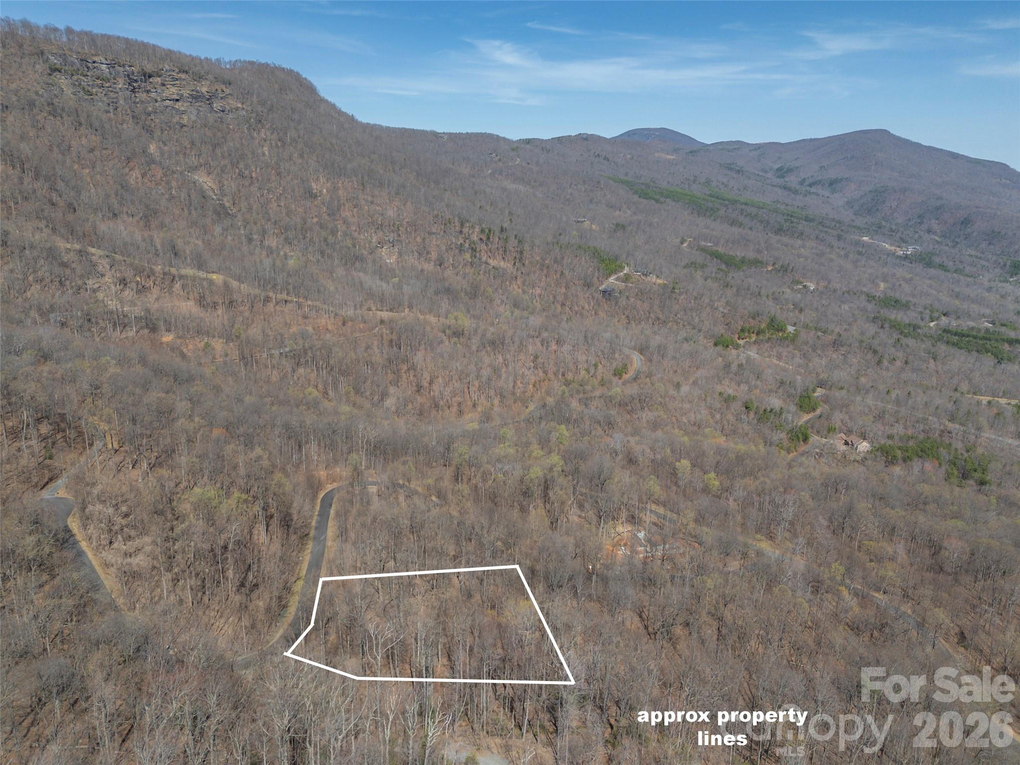 Lot 2130 Weaverly Ln Mill Spring Mill Spring, NC 28756 - Photo 3 of 37