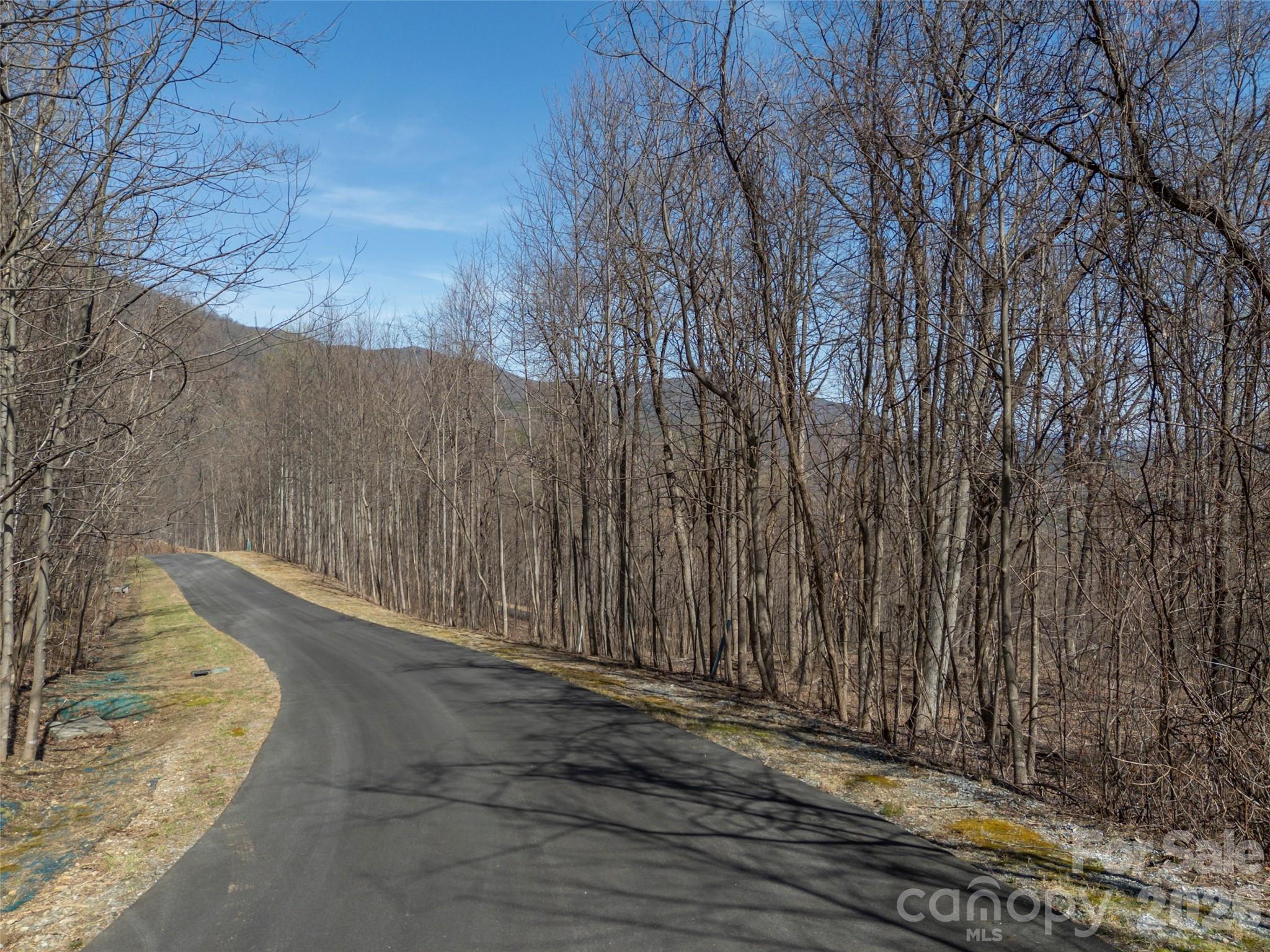 Lot 2130 Weaverly Ln Mill Spring Mill Spring, NC 28756 - Photo 7 of 37
