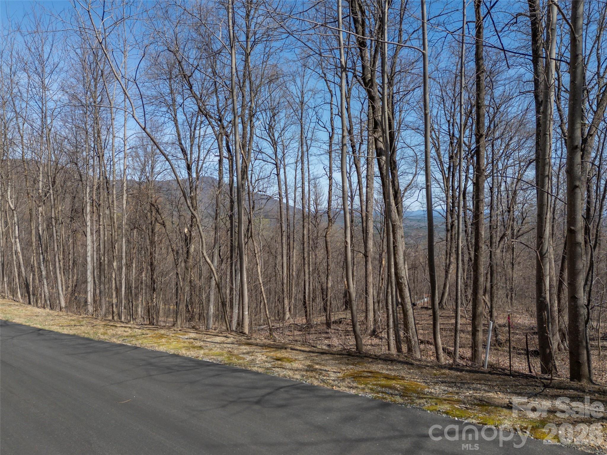 Lot 2130 Weaverly Ln Mill Spring Mill Spring, NC 28756 - Photo 9 of 37