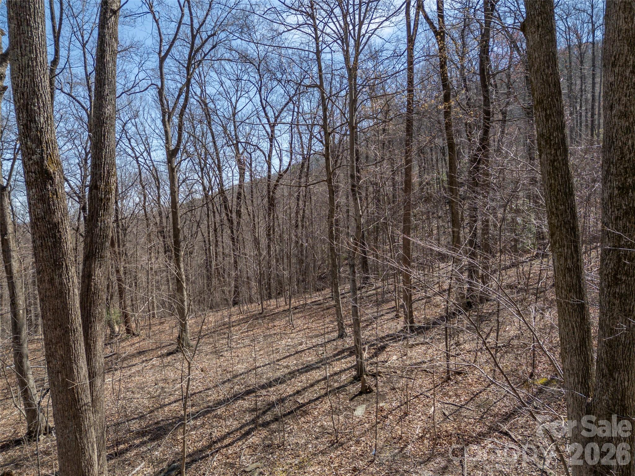 Lot 2130 Weaverly Ln Mill Spring Mill Spring, NC 28756 - Photo 10 of 37