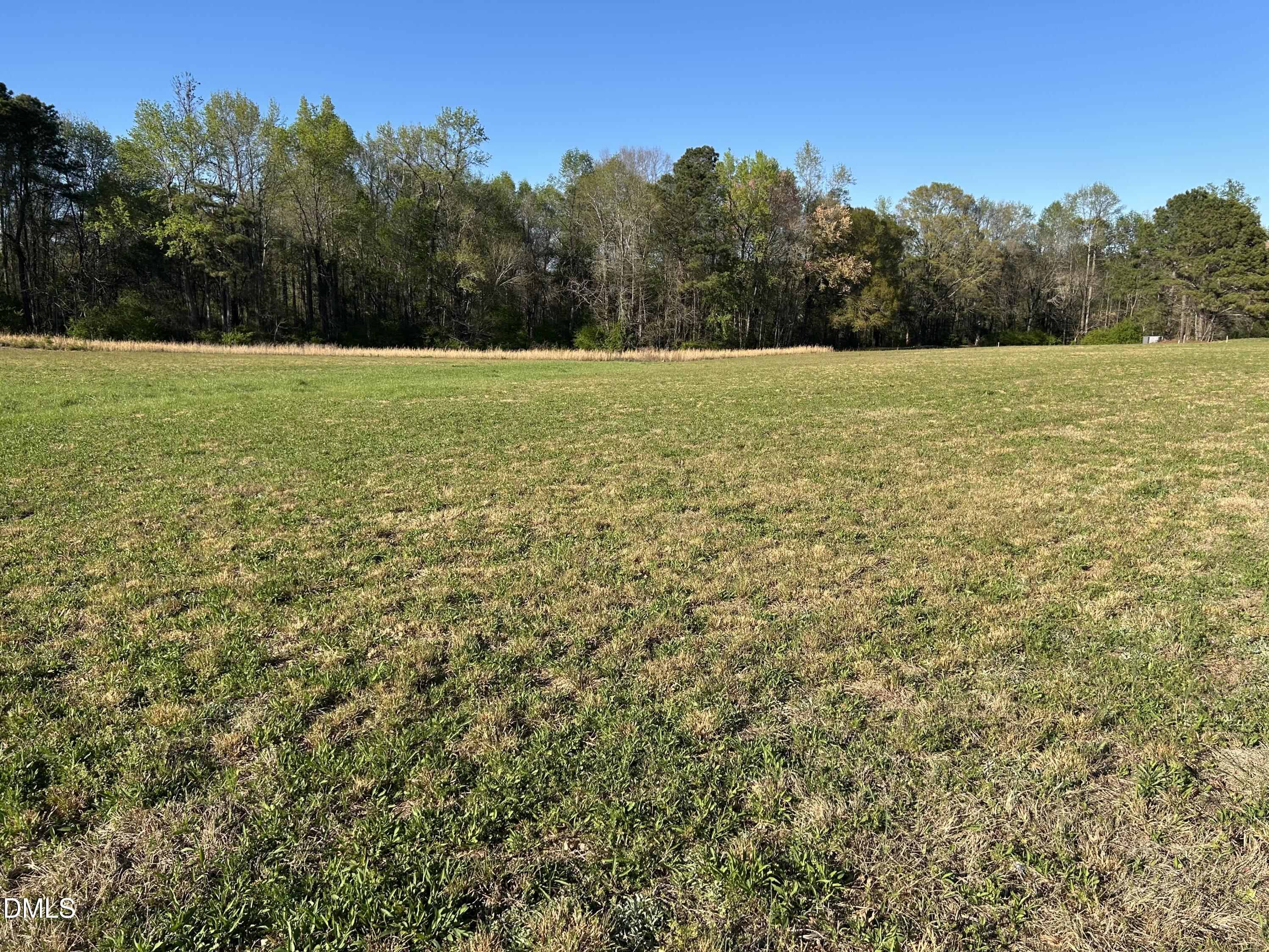 1006 Stephenson Road Benson, NC 27504 - Photo 6 of 9