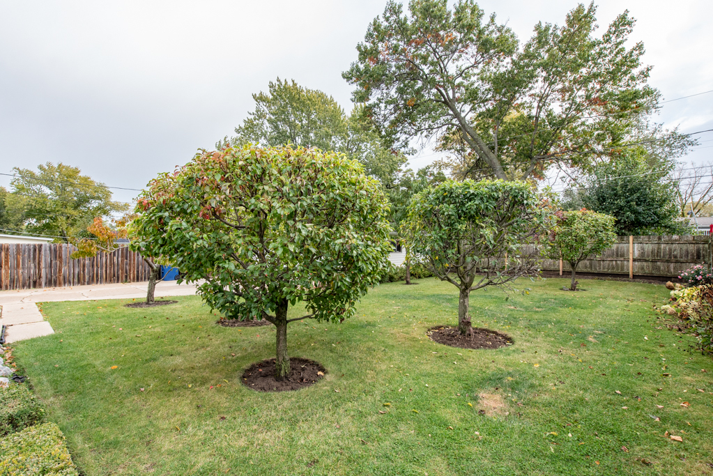 2629 West Cheyenne Road Waukegan, IL 60087 - Photo 32 of 34 Gallery Image 32