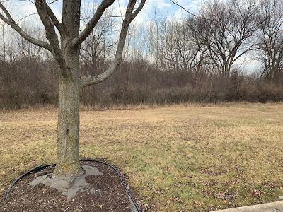 111 Stephen Lane Joliet, IL 60431 - Photo 1 of 2