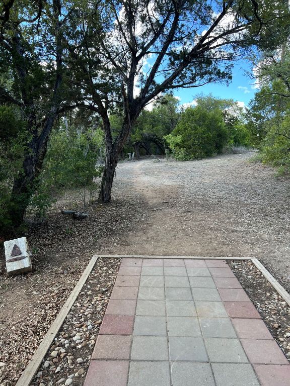 3013 Geronimo Trail Austin, TX 78734 - Photo 19 of 20 a view of a yard with trees