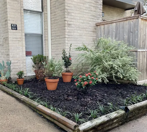 a bunch of flowers are in a garden