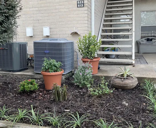 a view of a backyard with plants and chairs
