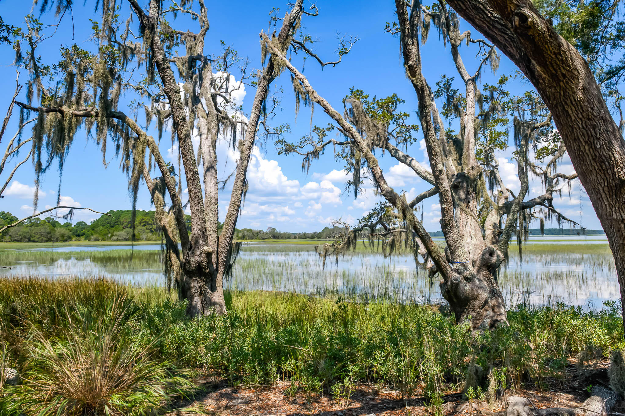 6258 Josie Ridge Road Wadmalaw Island, SC 29487 - Photo 17 of 43 HFL_6258 JOSIE RIDGE-14