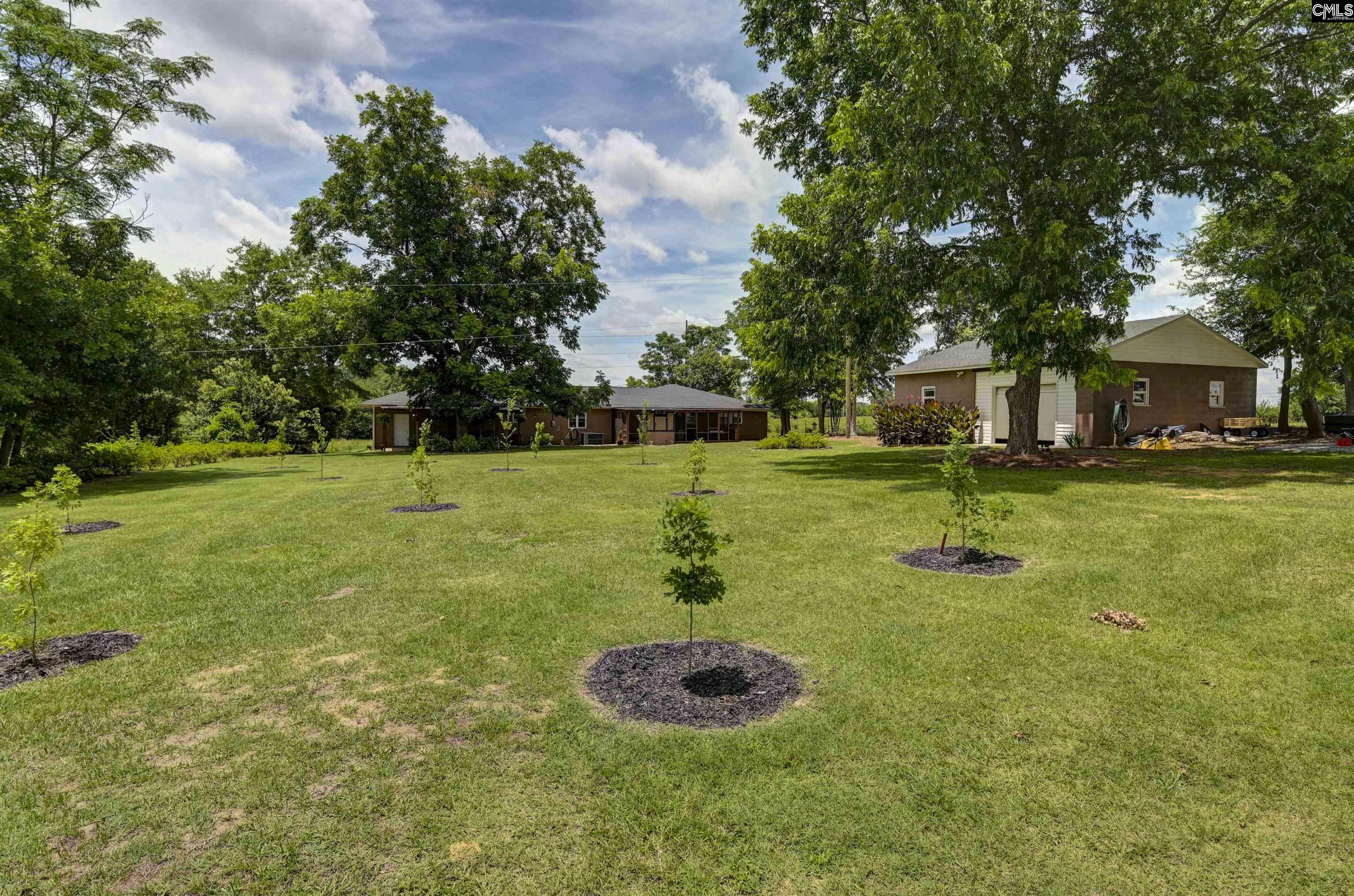 204 State Rd S-32-955 Leesville, SC 29070 - Photo 52 of 65