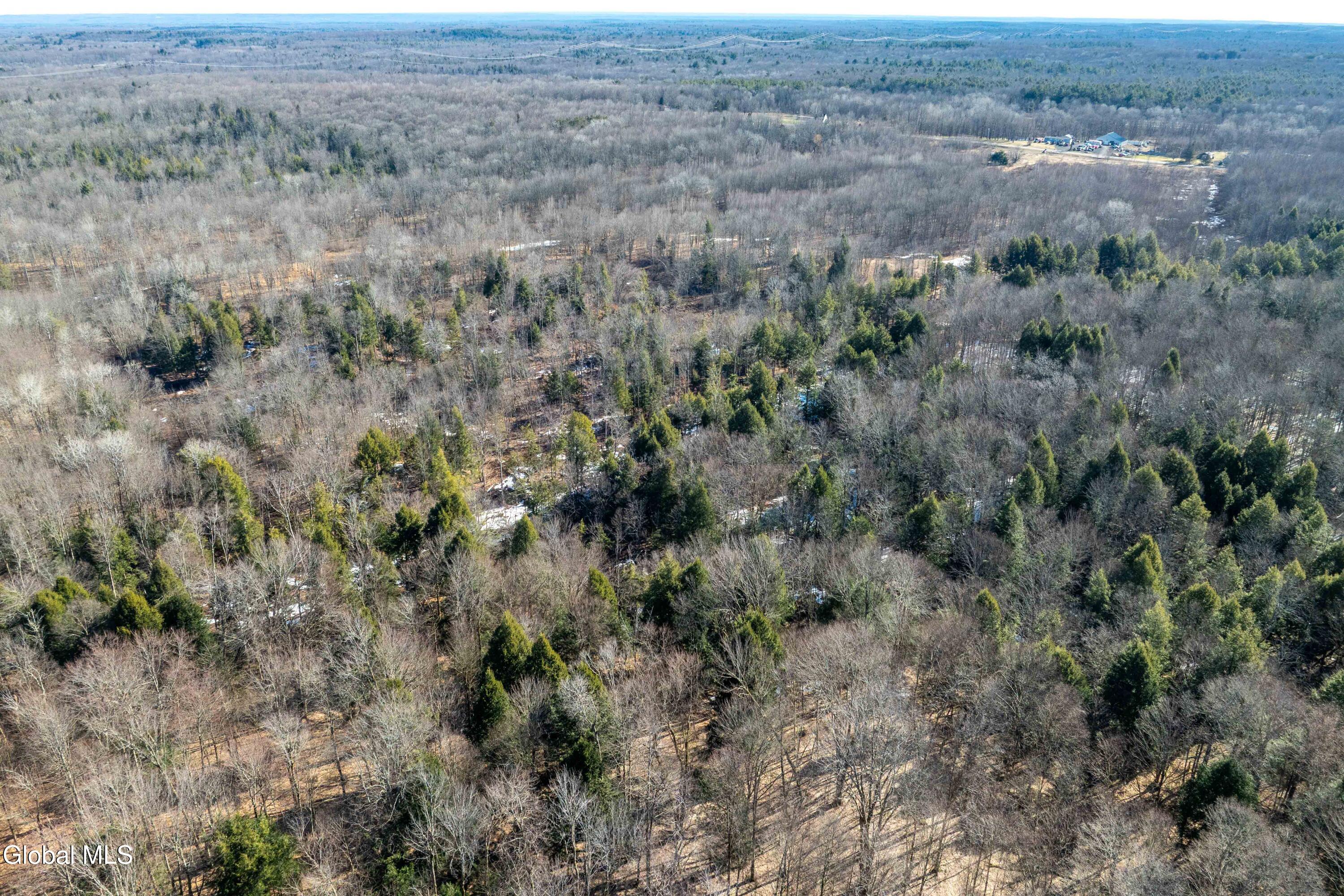 1105 County Rte 38 Parish, NY 13131 - Photo 12 of 42 Parish, Rt 38 -13