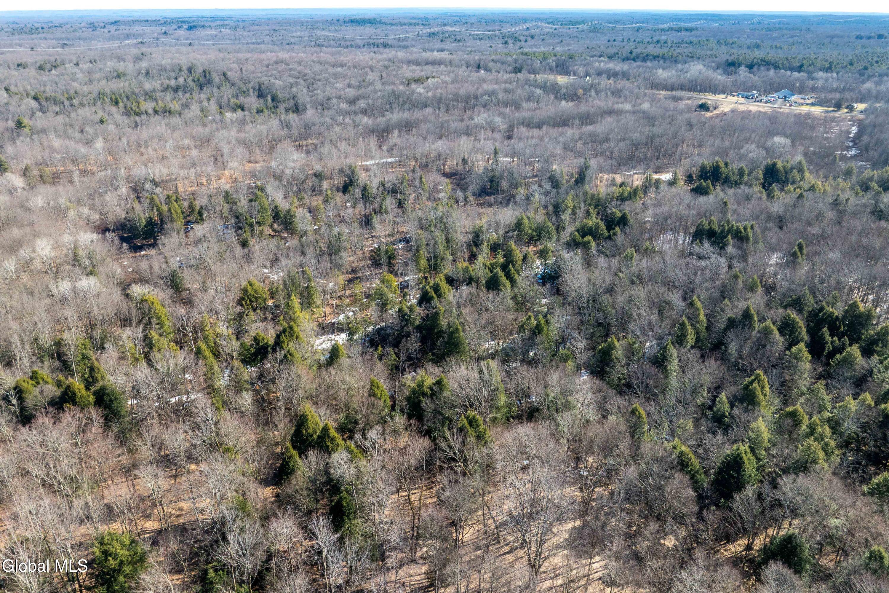 1105 County Rte 38 Parish, NY 13131 - Photo 13 of 42 Parish, Rt 38 -14