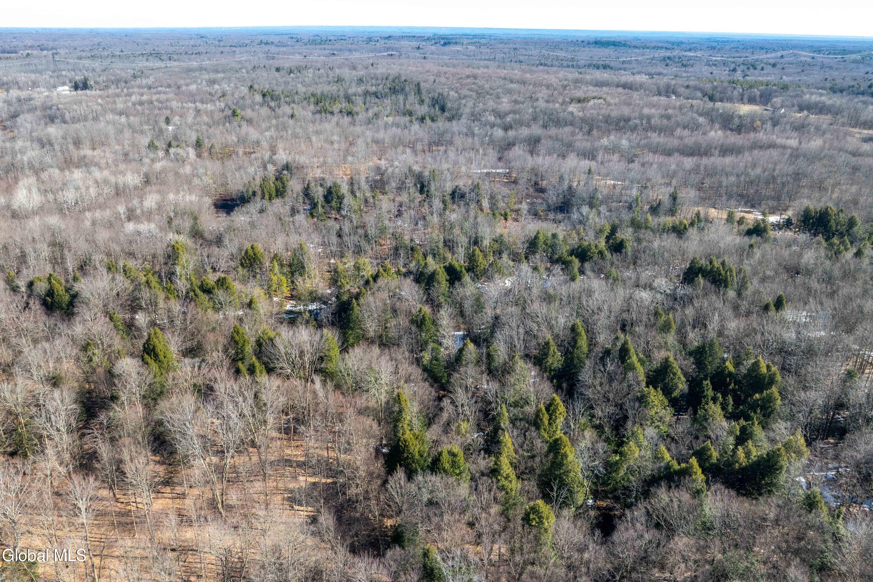 1105 County Rte 38 Parish, NY 13131 - Photo 14 of 42 Parish, Rt 38 -15