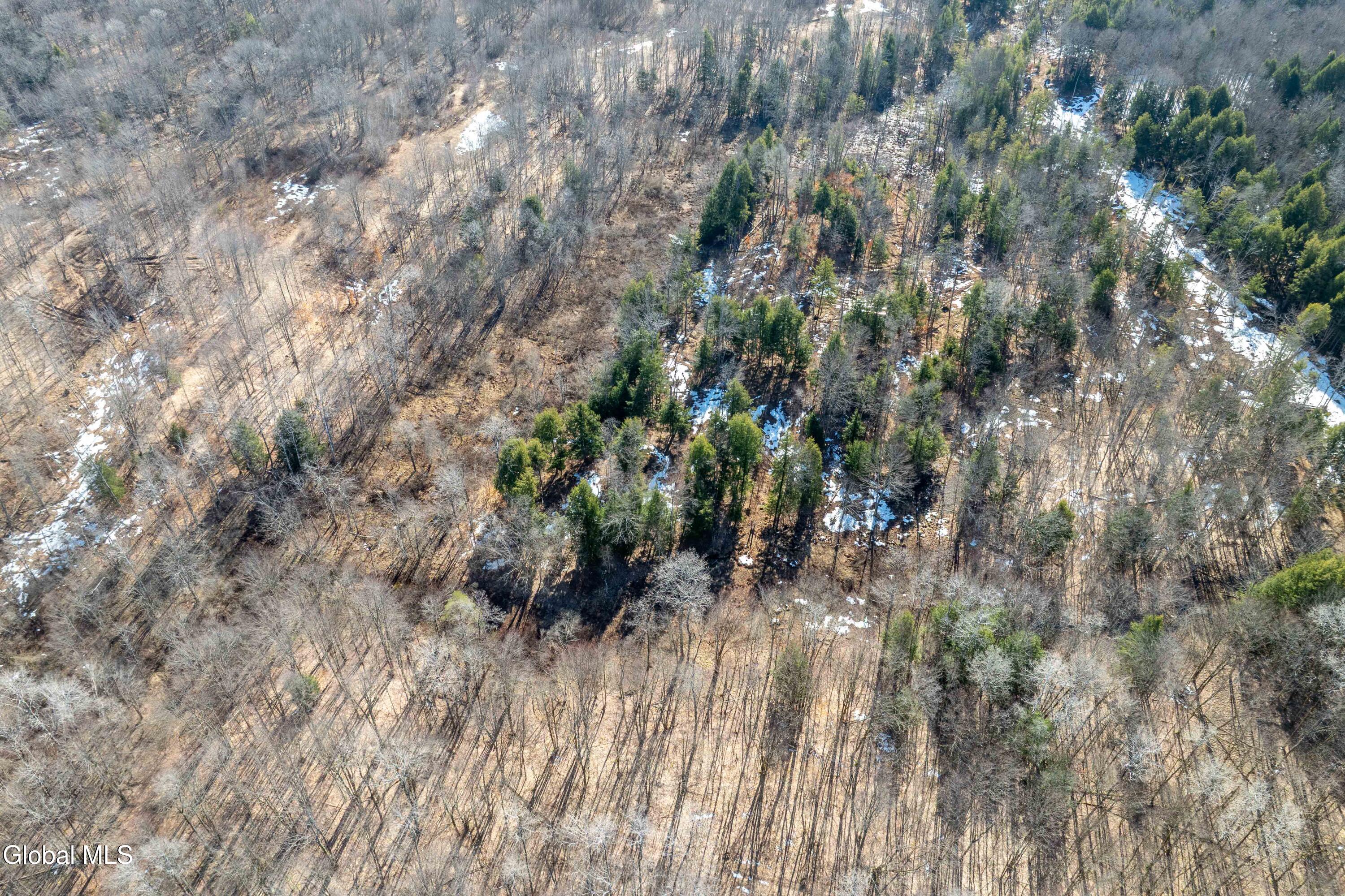 1105 County Rte 38 Parish, NY 13131 - Photo 35 of 42 Parish, Rt 38 -39