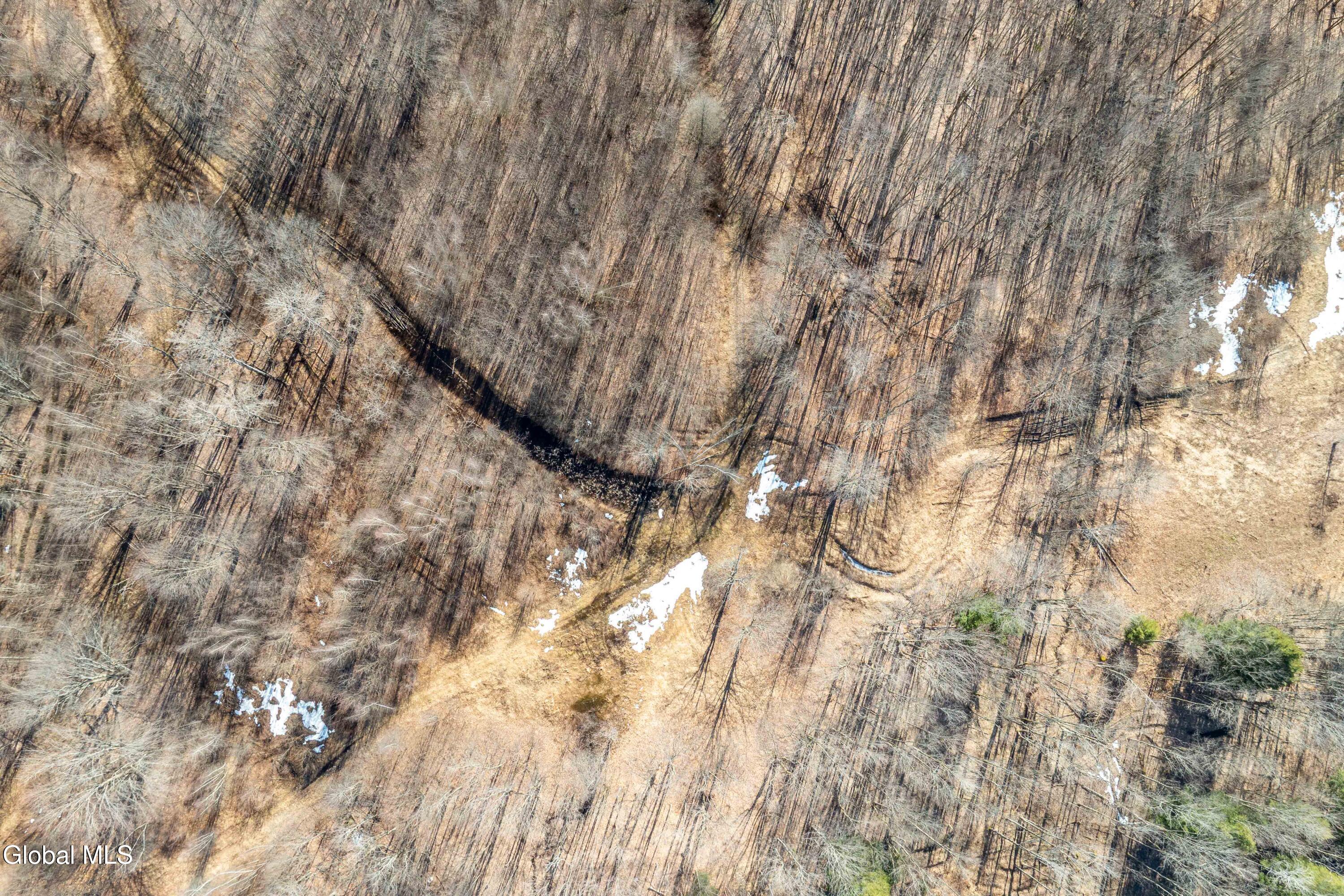 1105 County Rte 38 Parish, NY 13131 - Photo 37 of 42 Parish, Rt 38 -41