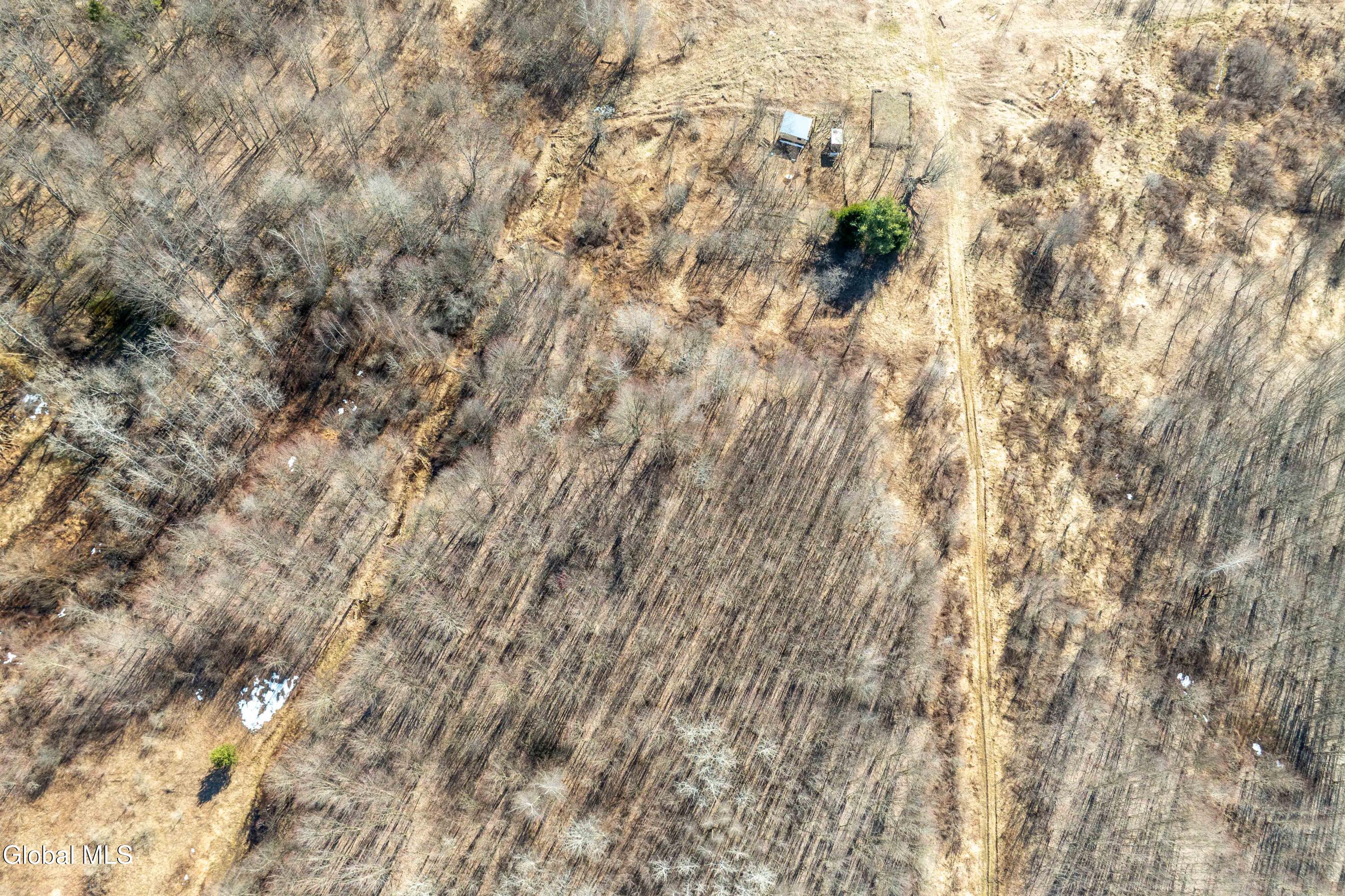 1105 County Rte 38 Parish, NY 13131 - Photo 39 of 42 Parish, Rt 38 -43