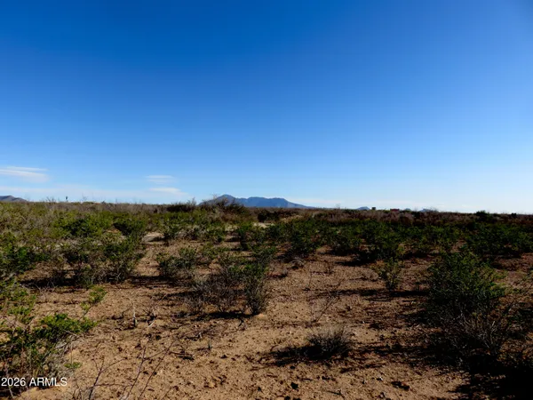 a view of dirt field with trees around