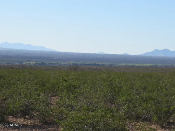 an aerial view of mountain and tree