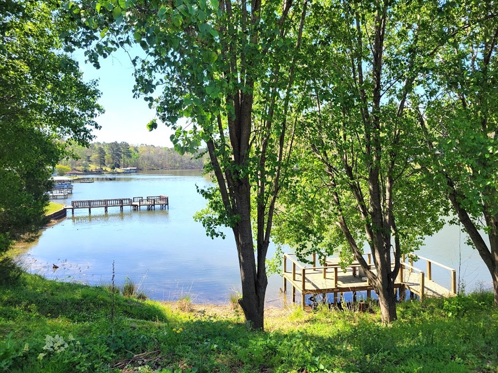 215 Bluff Road Greenwood, SC 29649 - Photo 45 of 49 Gallery Image 45