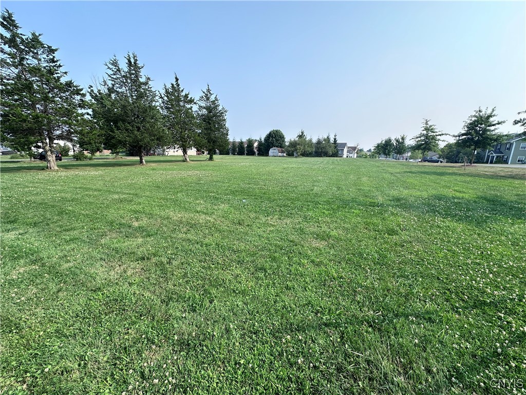 6282 Island Road Cicero, NY 13039 - Photo 20 of 23 Front View Sideyard