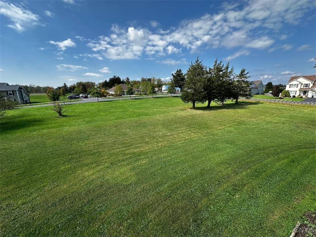 6282 Island Road Cicero, NY 13039 - Photo 21 of 23 Side yard
