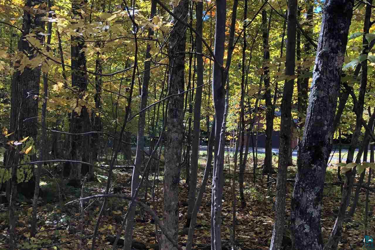 Lot 35 Missionary Point Creek Cable, WI 54821 - Photo 3 of 7 Gallery Image 3