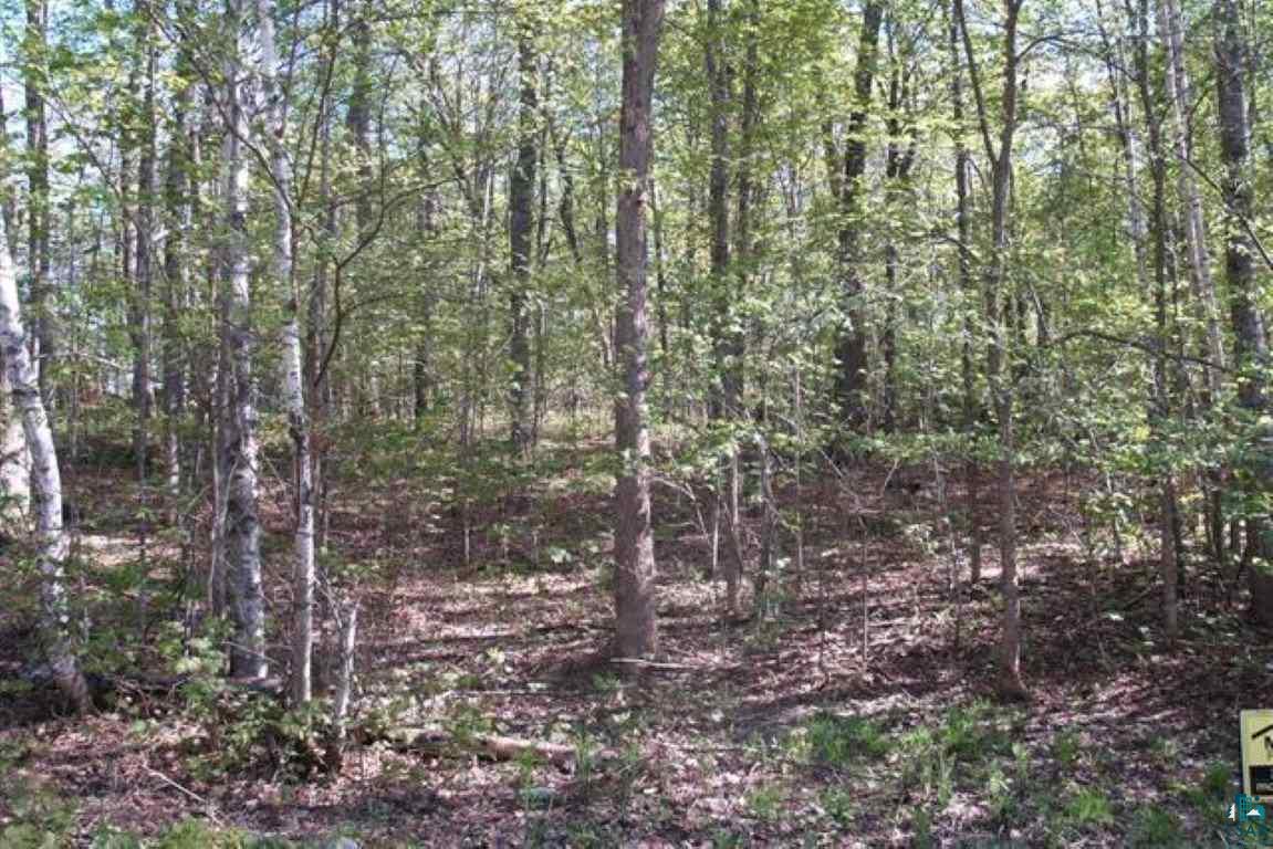 Lot 35 Missionary Point Creek Cable, WI 54821 - Photo 4 of 7 Gallery Image 4