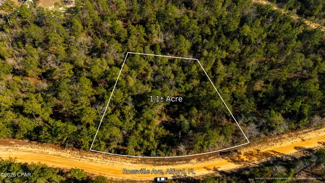 $16,500 | 0 Rossville Avenue, Alford, FL 32420