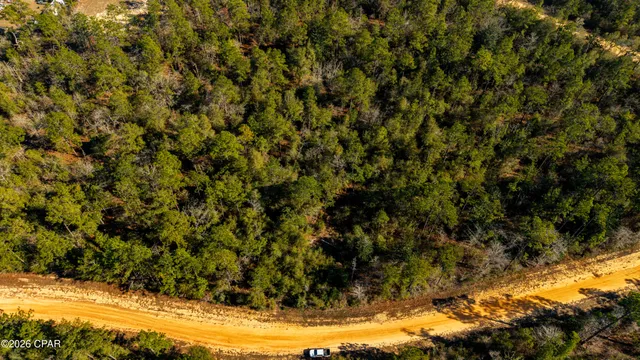 $16,500 | 0 Rossville Avenue, Alford, FL 32420