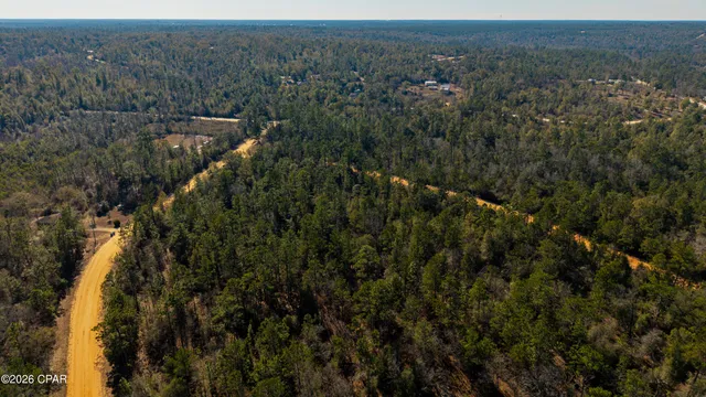 $16,500 | 0 Rossville Avenue, Alford, FL 32420