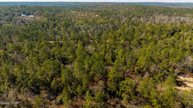 $16,500 | 0 Rossville Avenue, Alford, FL 32420