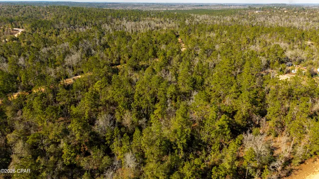 $16,500 | 0 Rossville Avenue, Alford, FL 32420