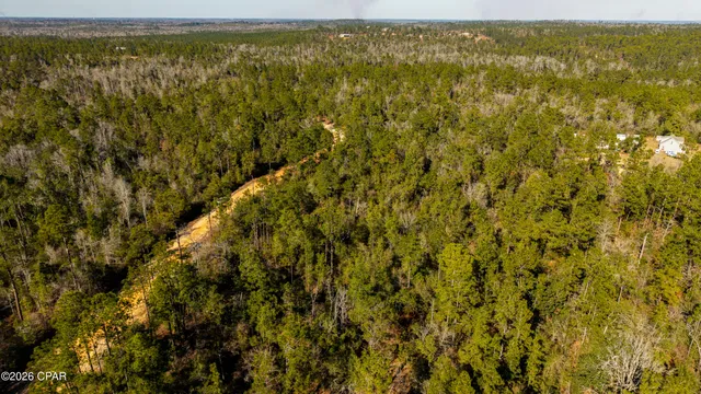 $16,500 | 0 Rossville Avenue, Alford, FL 32420