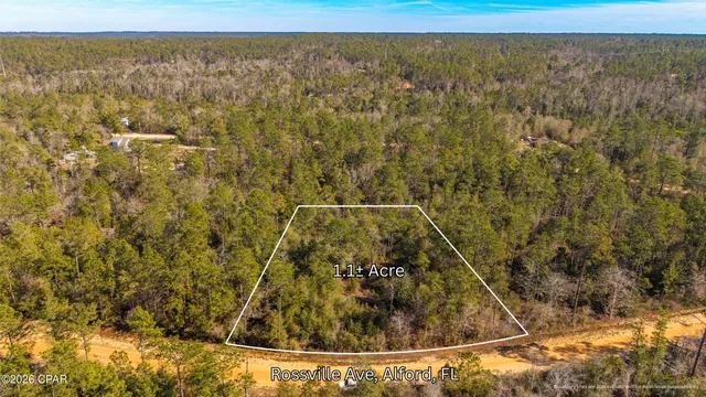 $16,500 | 0 Rossville Avenue, Alford, FL 32420