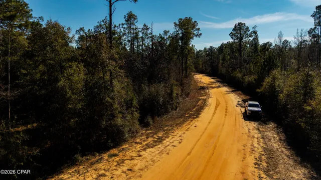 $16,500 | 0 Rossville Avenue, Alford, FL 32420