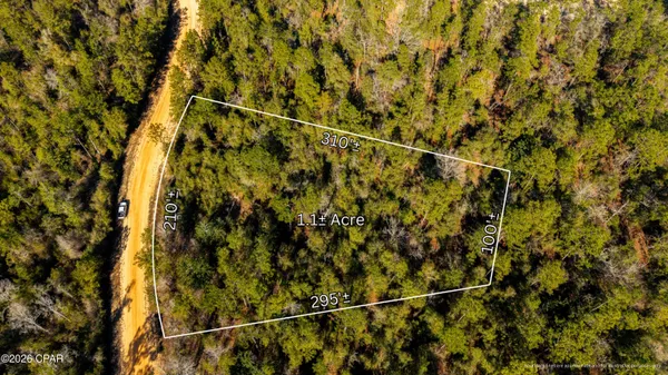 $16,500 | 0 Rossville Avenue, Alford, FL 32420