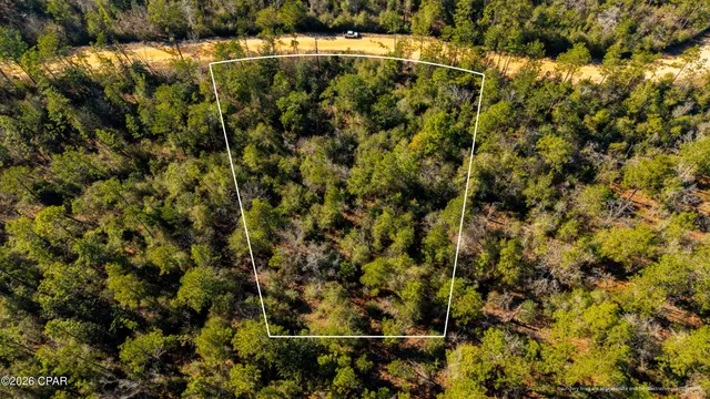 $16,500 | 0 Rossville Avenue, Alford, FL 32420