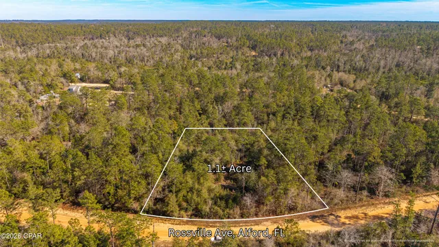 $16,500 | 0 Rossville Avenue, Alford, FL 32420