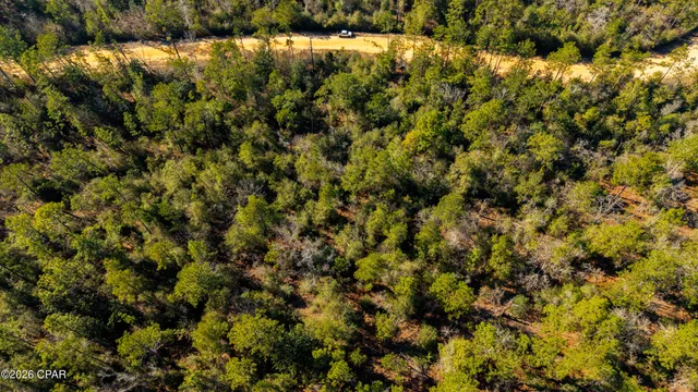 $16,500 | 0 Rossville Avenue, Alford, FL 32420