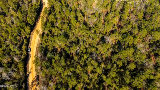 $16,500 | 0 Rossville Avenue, Alford, FL 32420