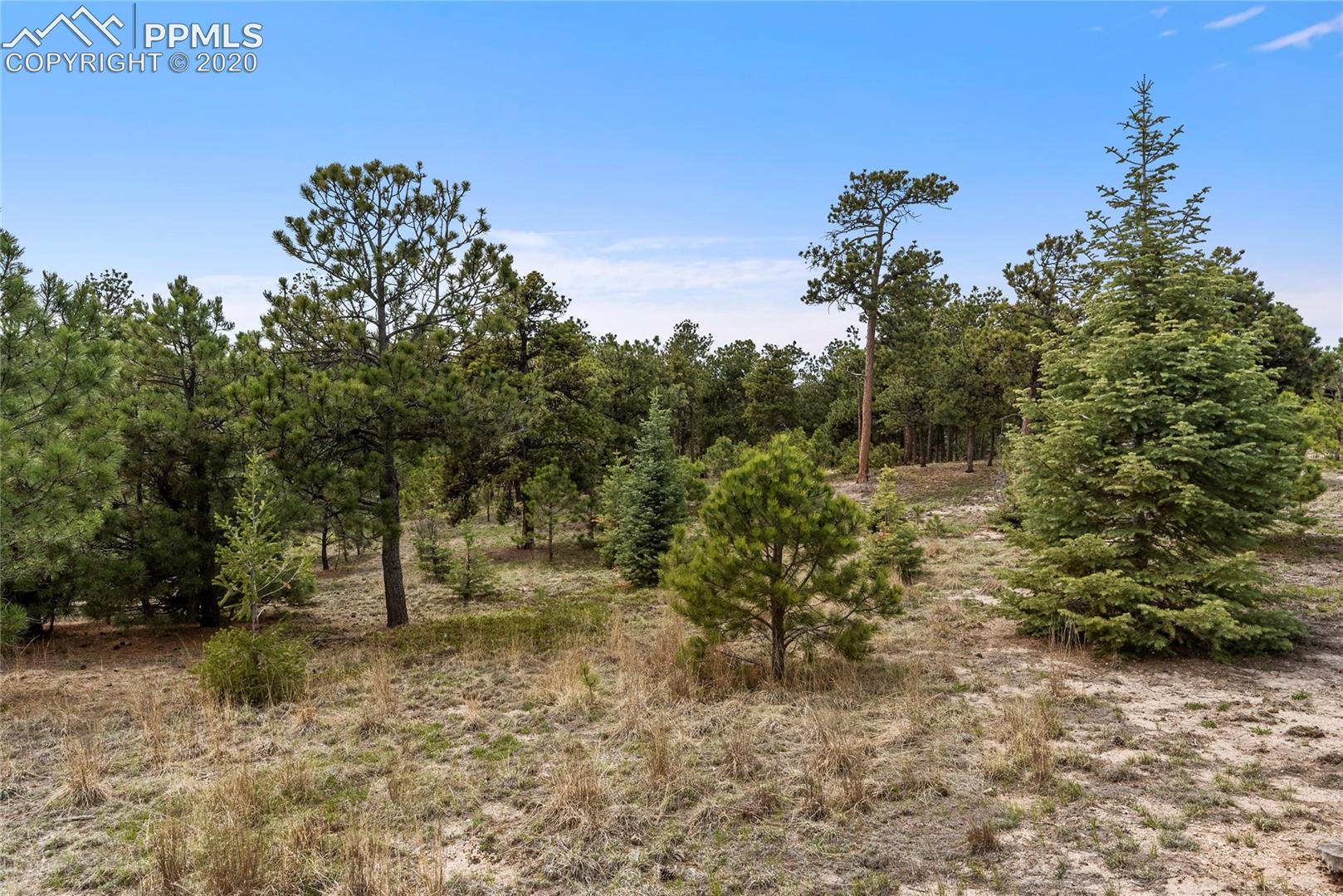7165 McShane Road Colorado Springs, CO 80908 - Photo 1 of 13 Gallery Image 1