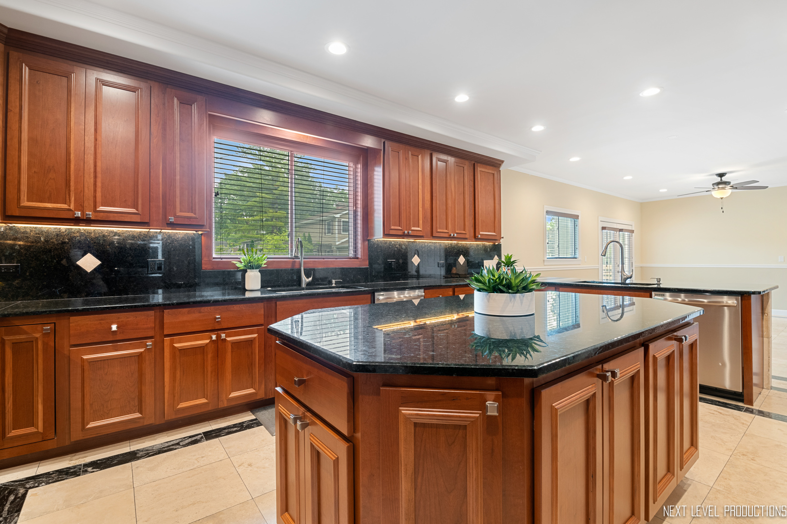 115 Birch Avenue Lake Bluff, IL 60044 - Photo 13 of 39 a kitchen with stainless steel appliances granite countertop a sink a window and wooden cabinets