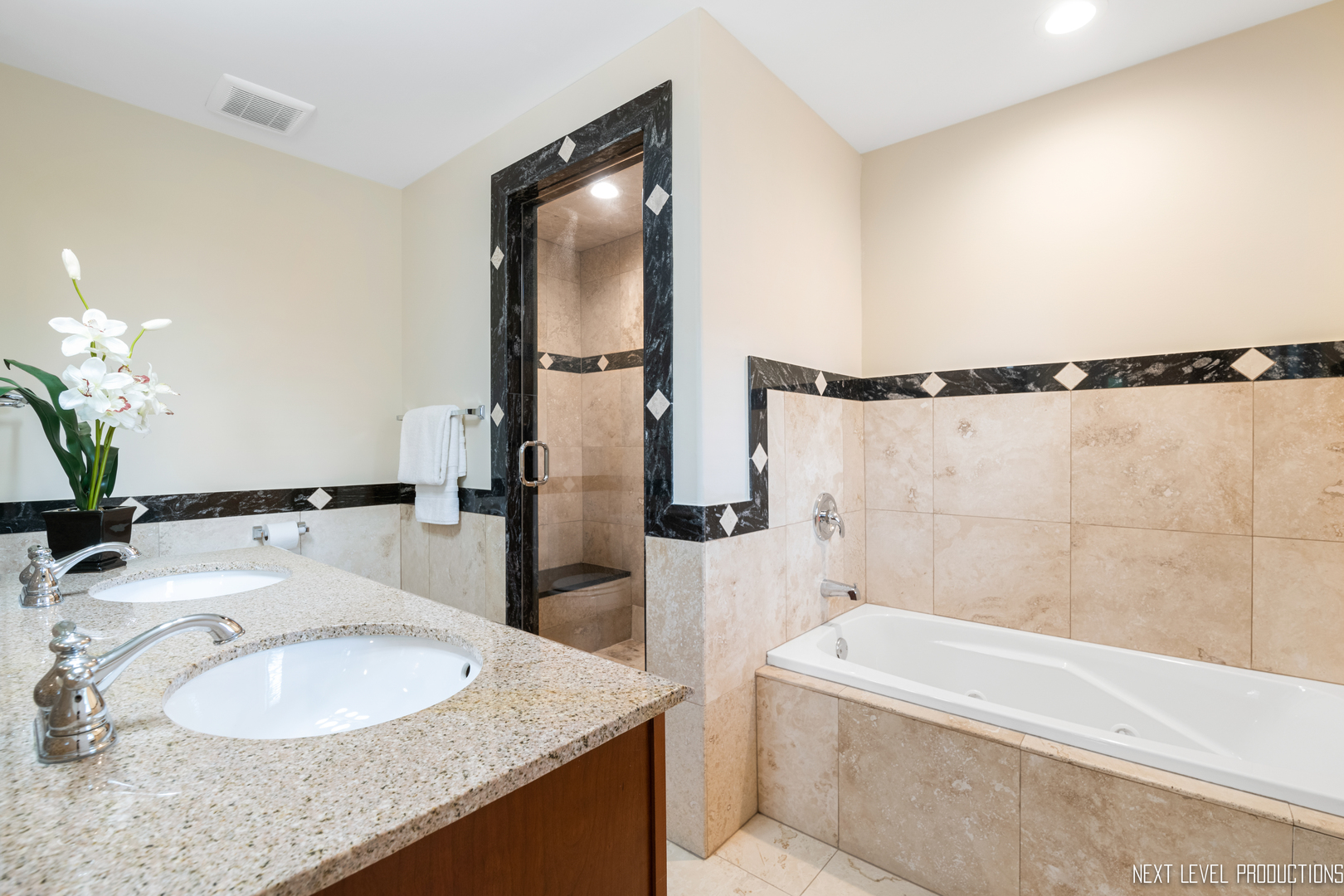 115 Birch Avenue Lake Bluff, IL 60044 - Photo 17 of 39 a bathroom with a granite countertop bathtub sink and mirror