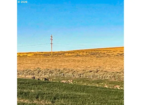 $599,000 | 260 North E Street, Lexington, OR 97839