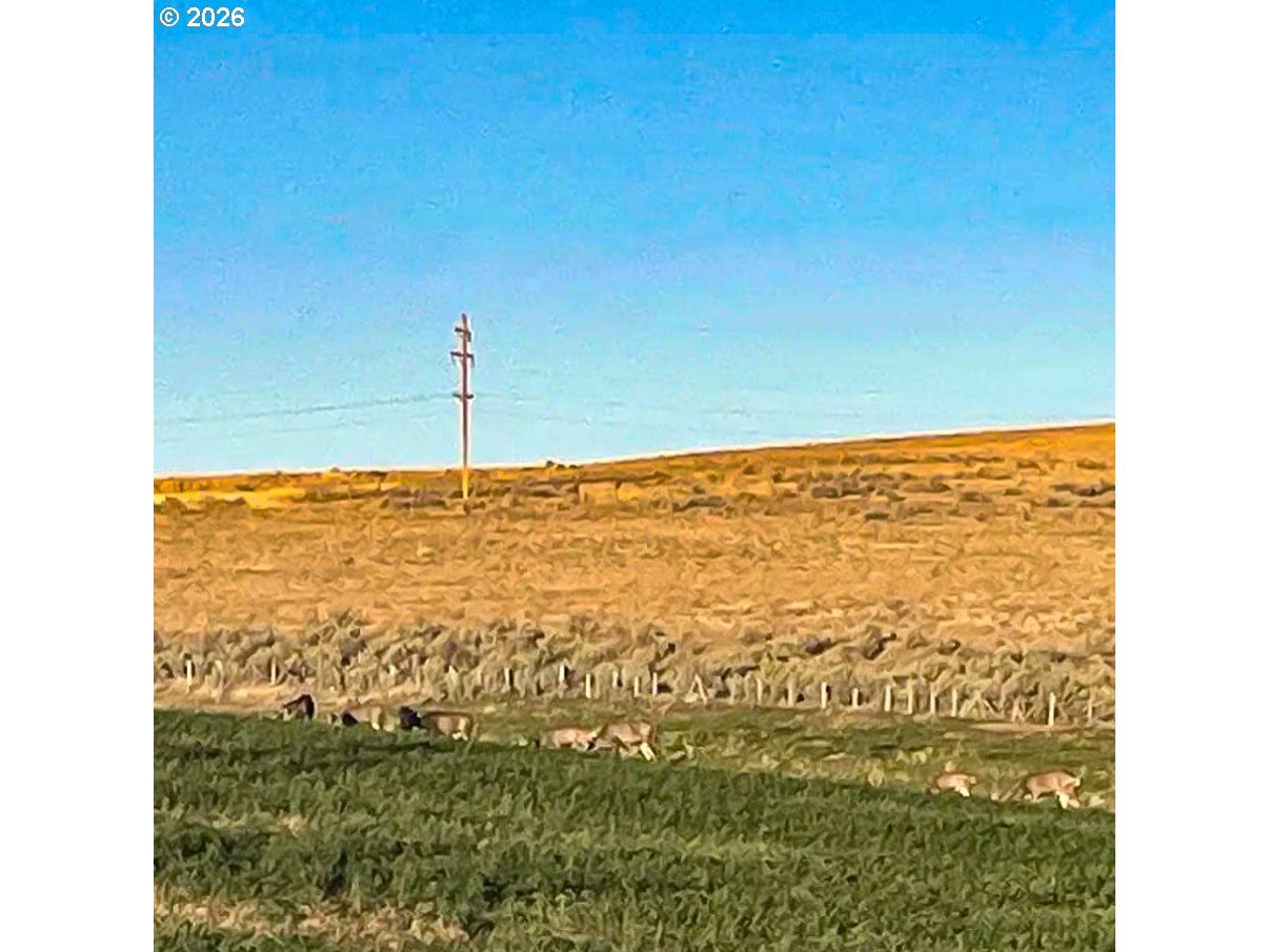 260 North E Street Lexington, OR 97839 - Photo 21 of 21