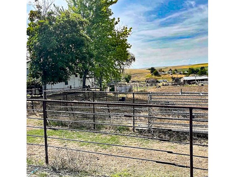 260 North E Street Lexington, OR 97839 - Photo 5 of 21