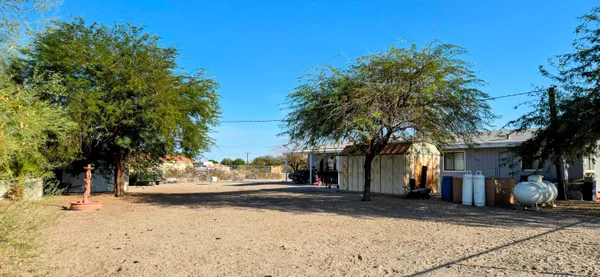 a view of a dry yard with wooden fence
