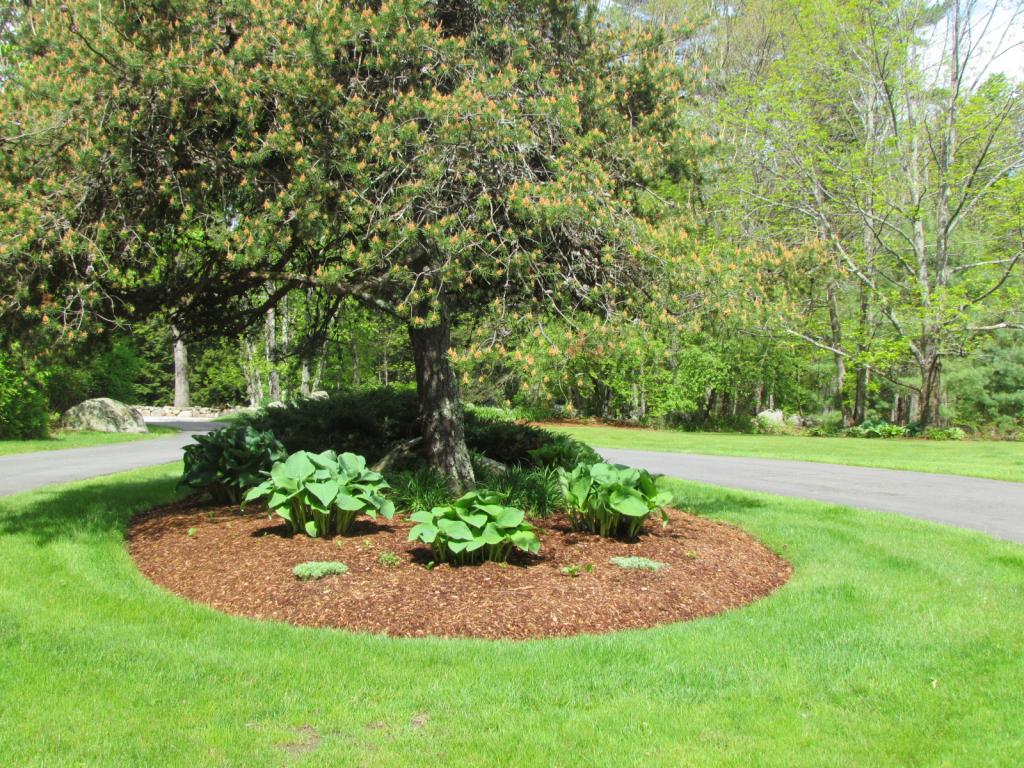 14 Old Milford Road Amherst, NH 03031 - Photo 6 of 31