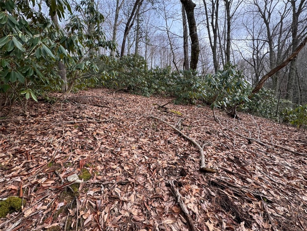 2.13-acres Big Ridge Road Bakersville, NC 28705 - Photo 3 of 10 a view of a pathway both side of yard