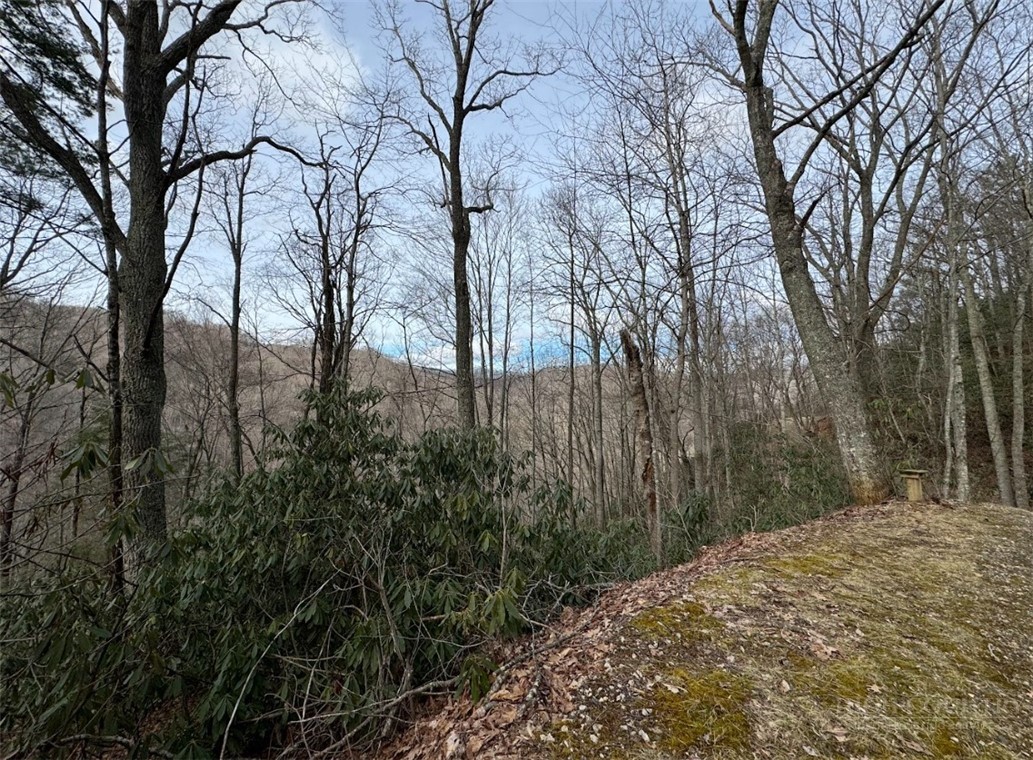 2.13-acres Big Ridge Road Bakersville, NC 28705 - Photo 5 of 10 a view of a large yard