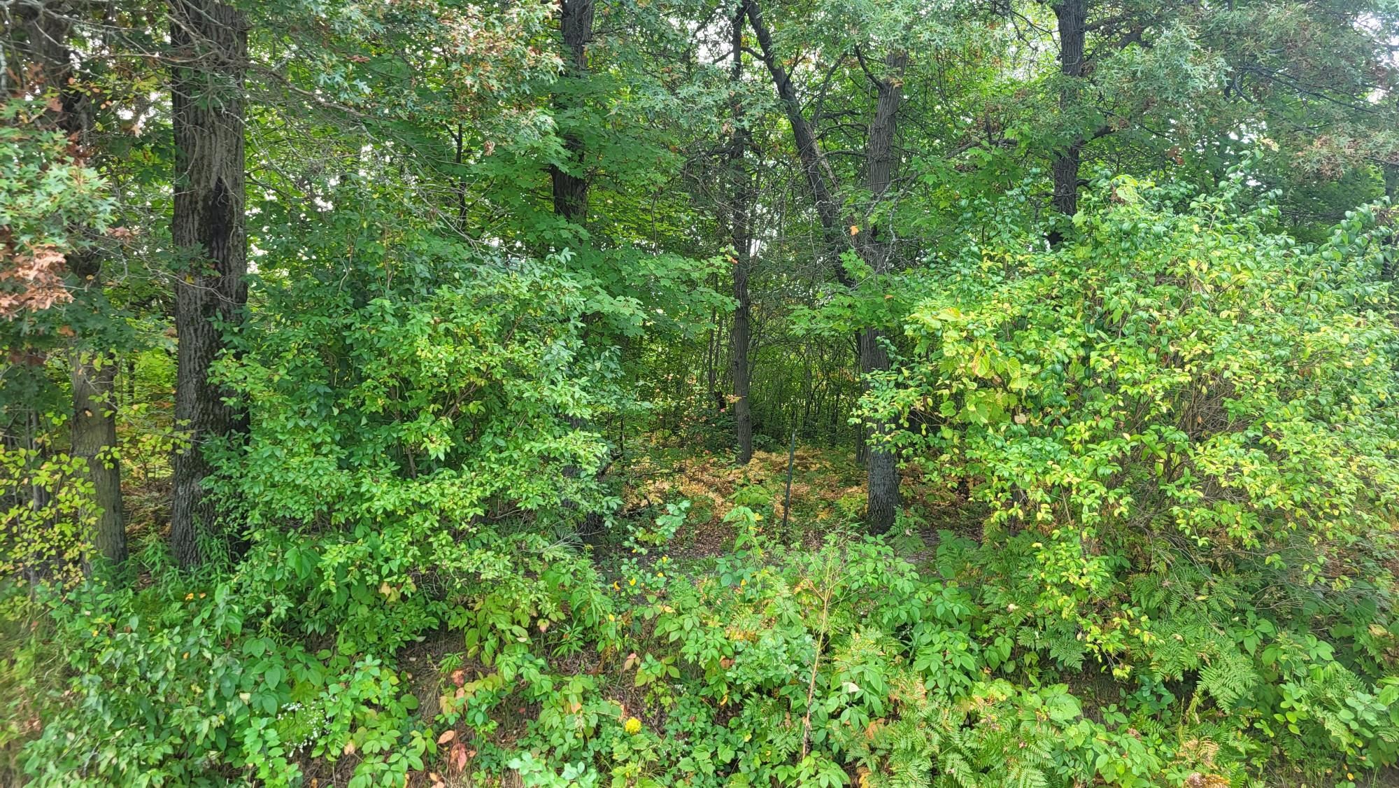 Lot 31 Tara Tomah, WI 54660 - Photo 4 of 10