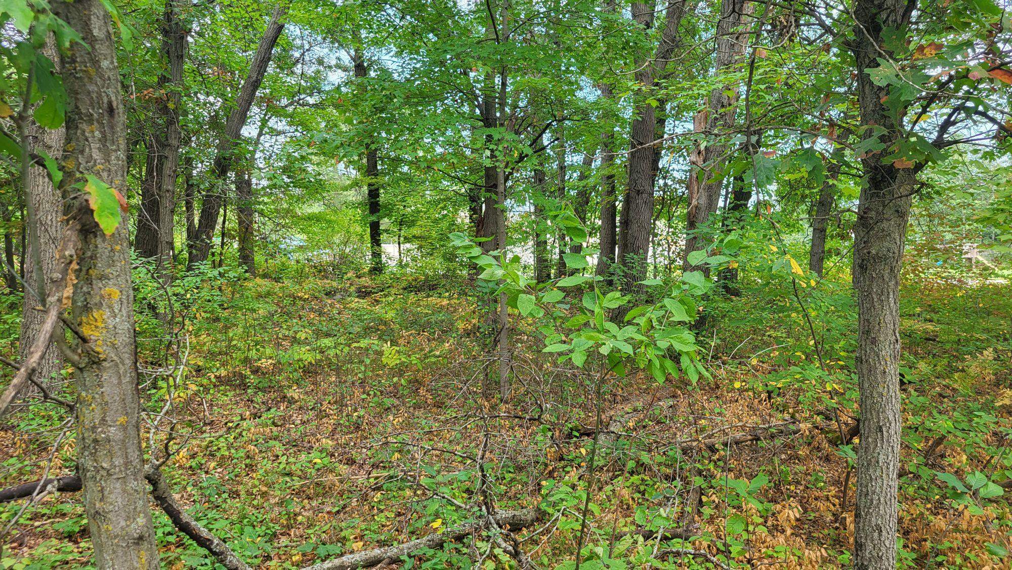 Lot 31 Tara Tomah, WI 54660 - Photo 6 of 10